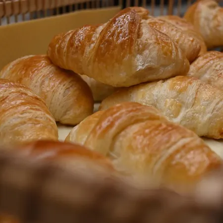 旅馆 Sveta Ana 科佩尔